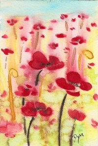 field of poppies postcard