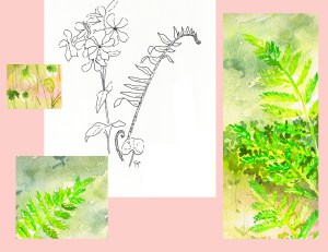ferns and phlox