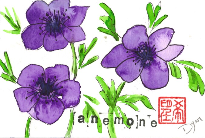 anemone