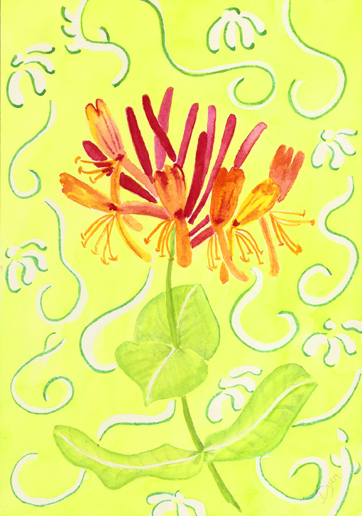 honeysuckle and background 72