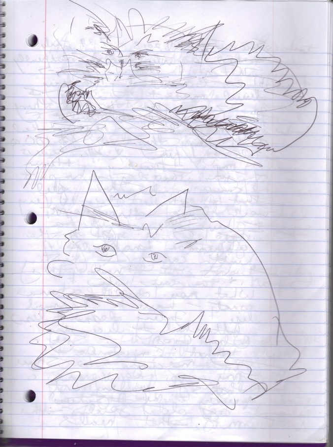 cat sketch