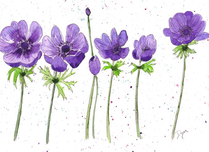 purple poppies