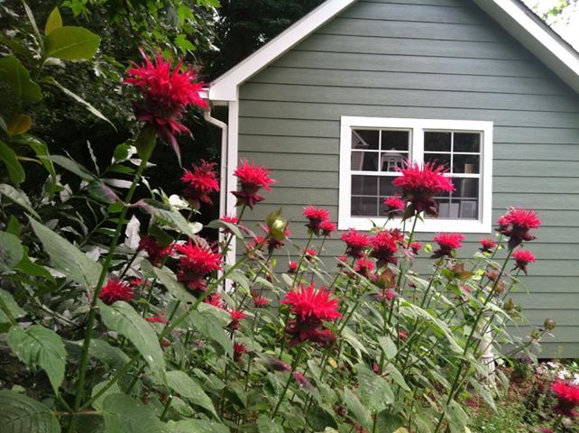 1017338_10201250662819432_690500395_n