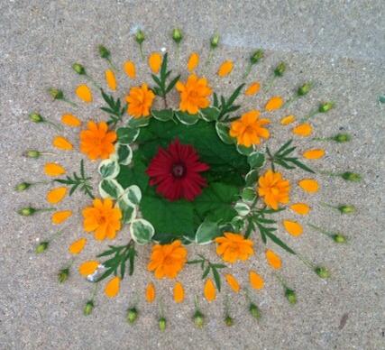 1185773_10201614523315717_1458903624_n