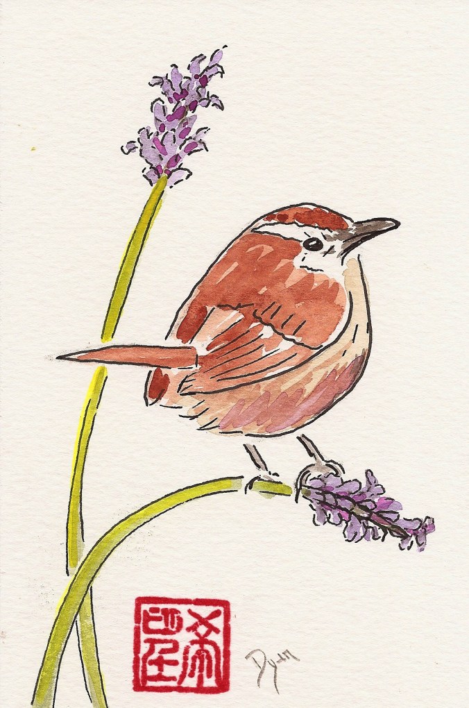 lavender and wren