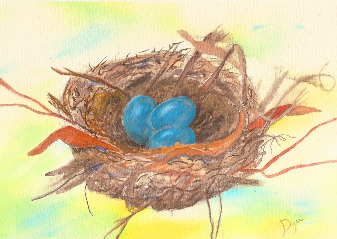robin nest 1