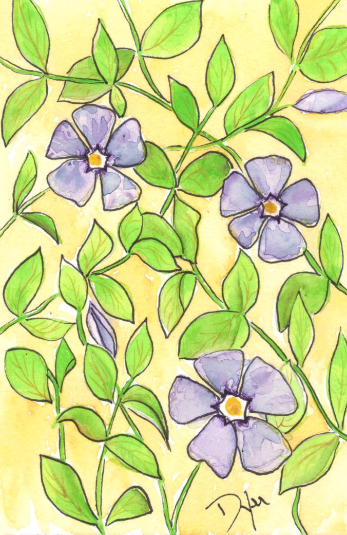 Vinca April