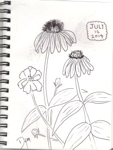 sketchbook july 12