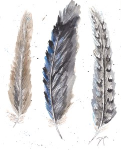Feathers I