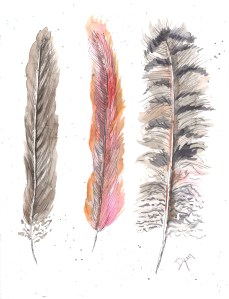 Feathers II