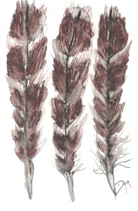Feathers Dec