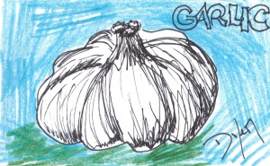 Index card garlic