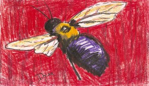 index card bee
