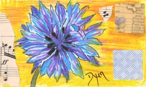 Index card Bachelors Button