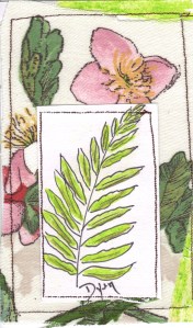 ICAD 25 botanic organic