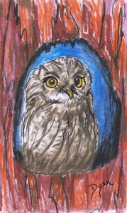 ICAD 5 Owl