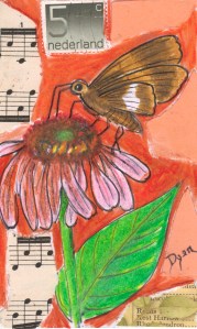 ICAD 6 Taxi pollination