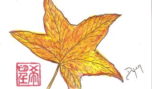 Index card sweet gum 2