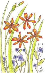 Art Rx blackberry lily color 72