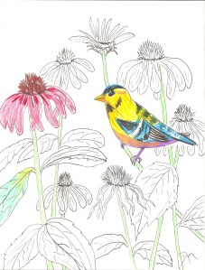 Art Rx Deck Goldfinch colored 72