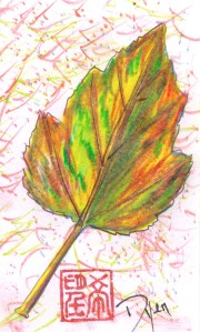 Index card October rain