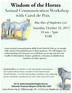 Wisdom of Horses for Deb