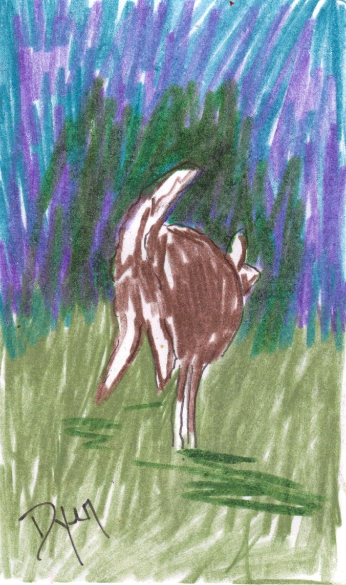 Index card deer 1
