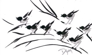Index card Nov birds