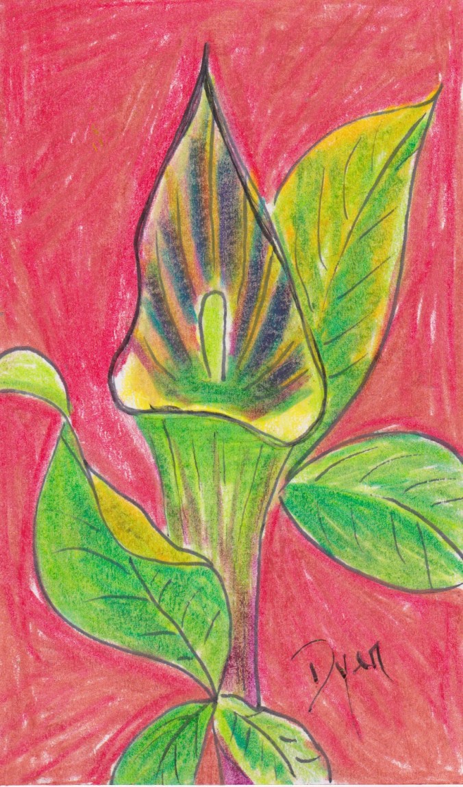 Index card Jack in Pulpit