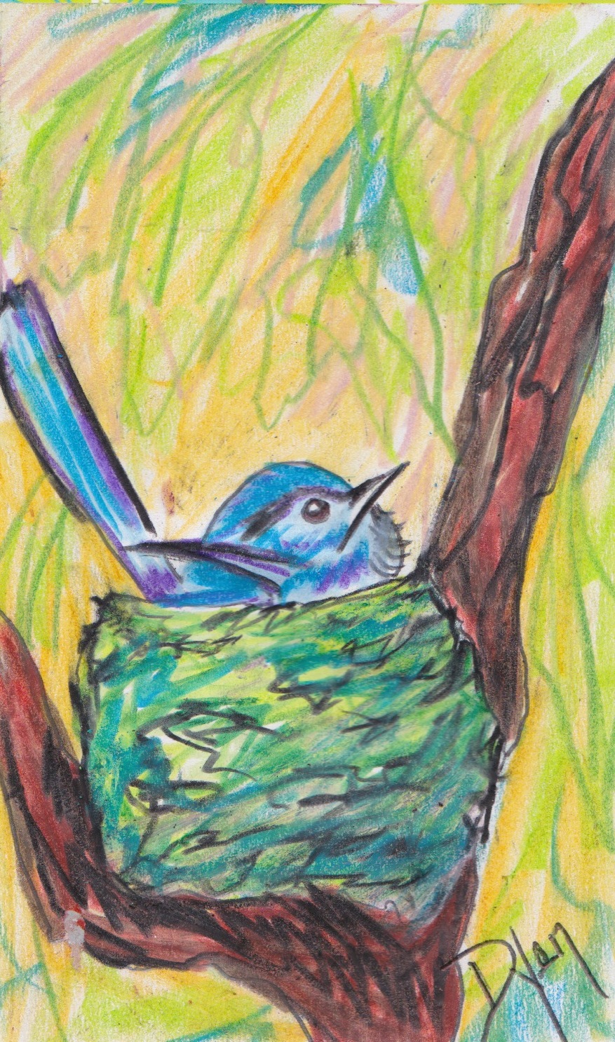 Index card knat catcher 1