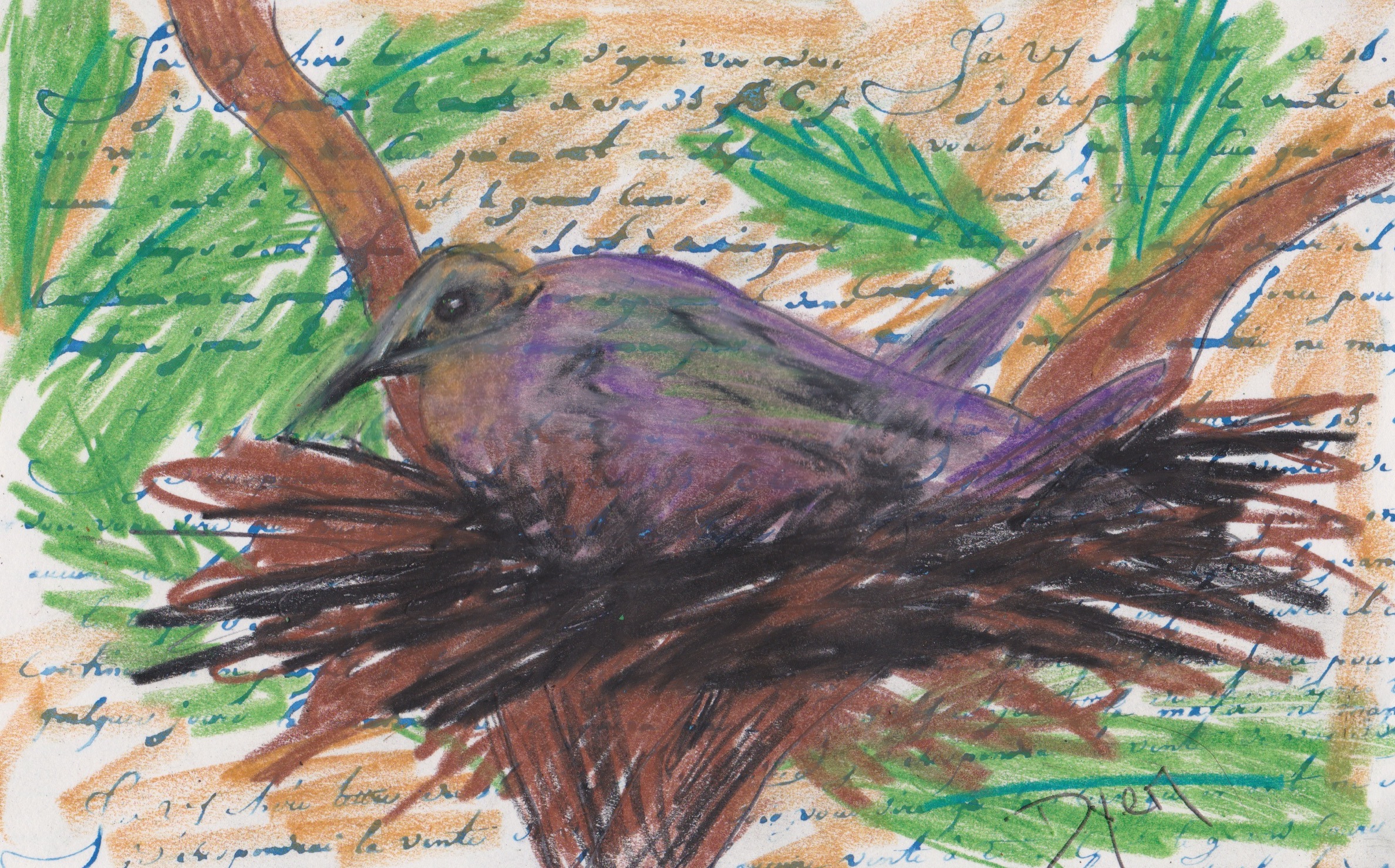 Index card morning dove