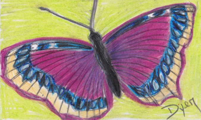 Index card Mourning Cloak
