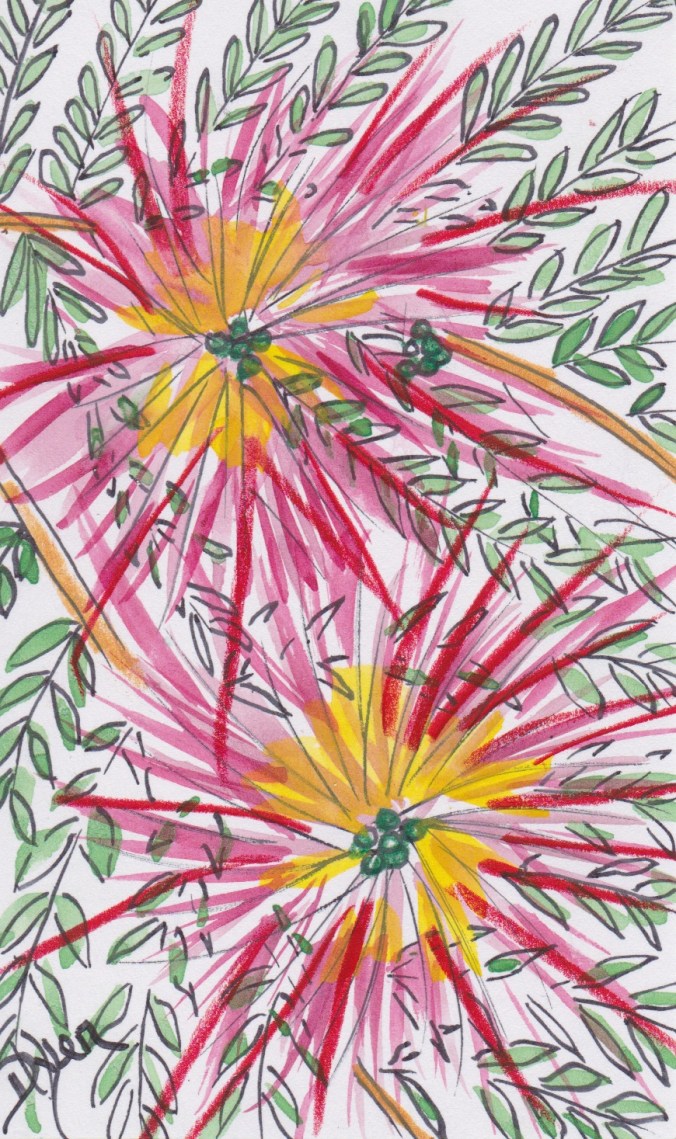 Index card 2016 26 Mimosa