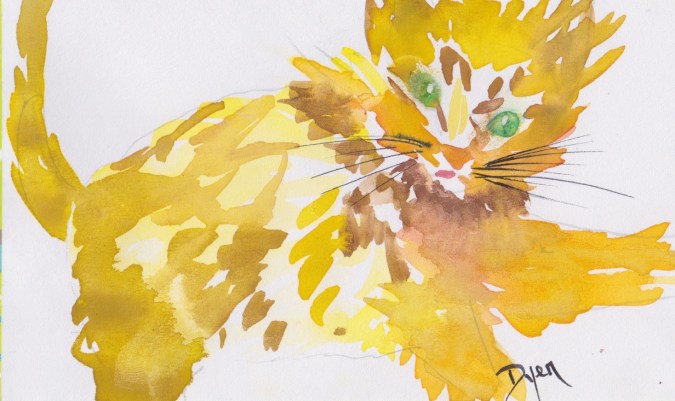 Index card 2016 28 cat