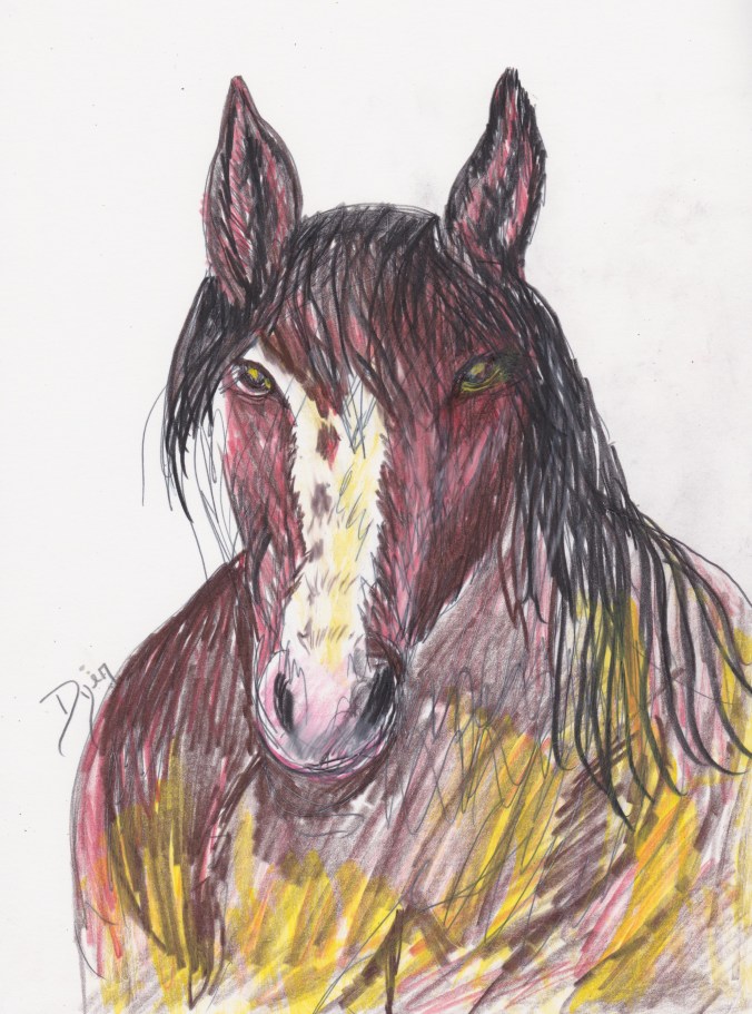 Horse colored pencil