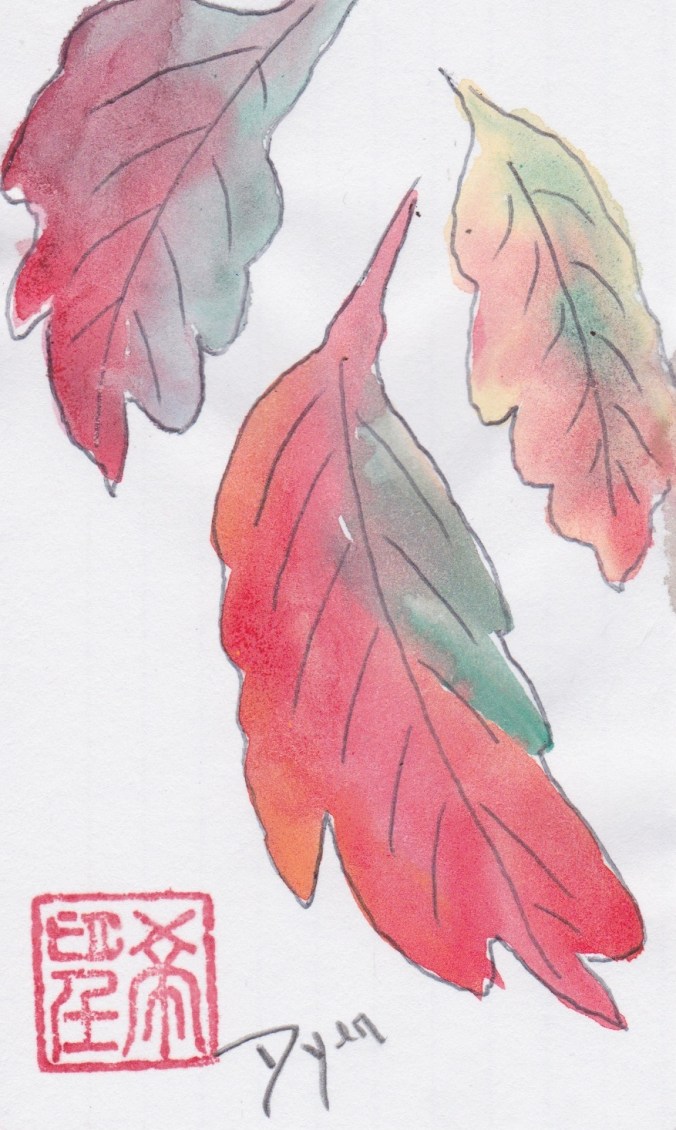 index-card-fall-16