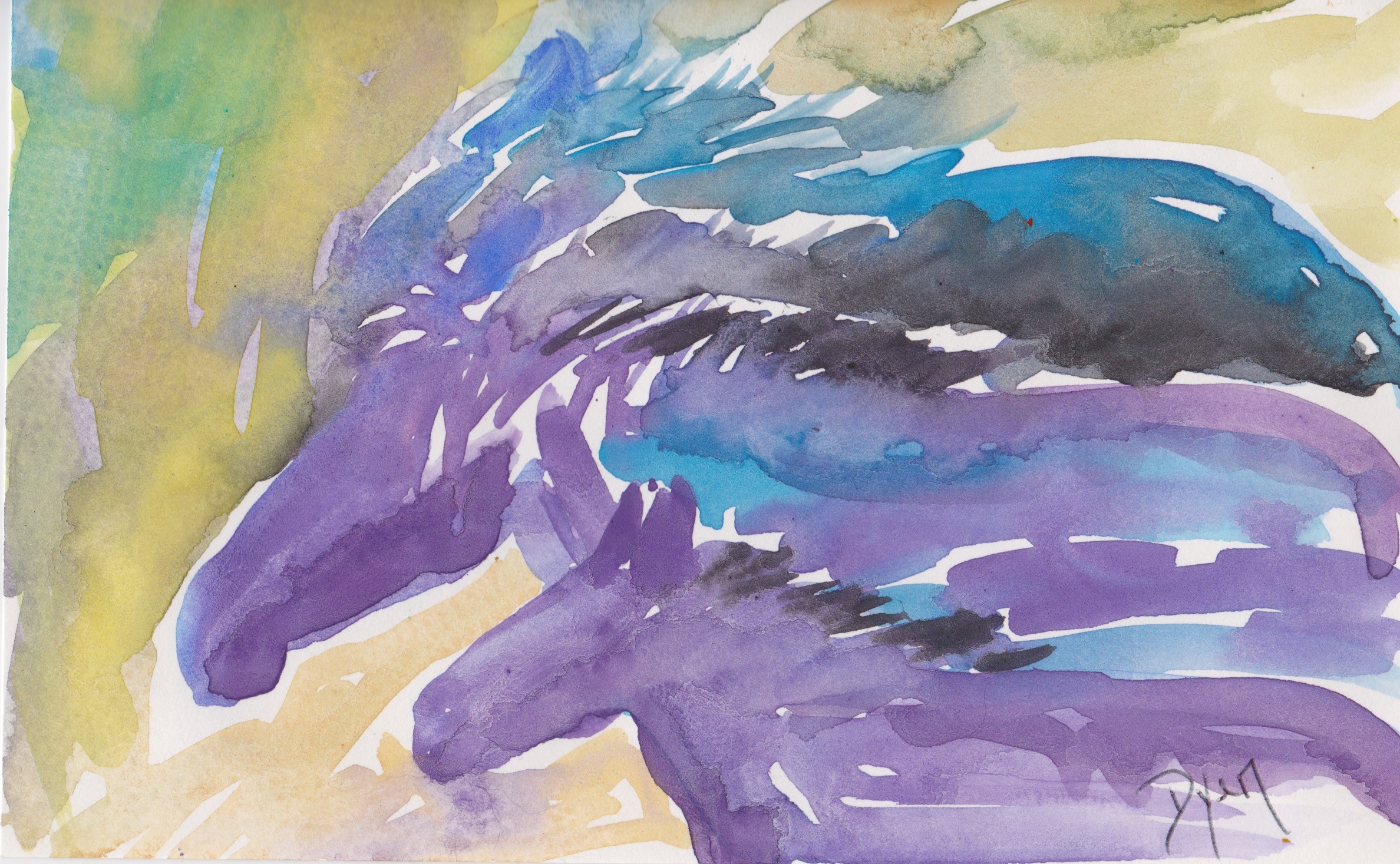 Index card horses.jpeg