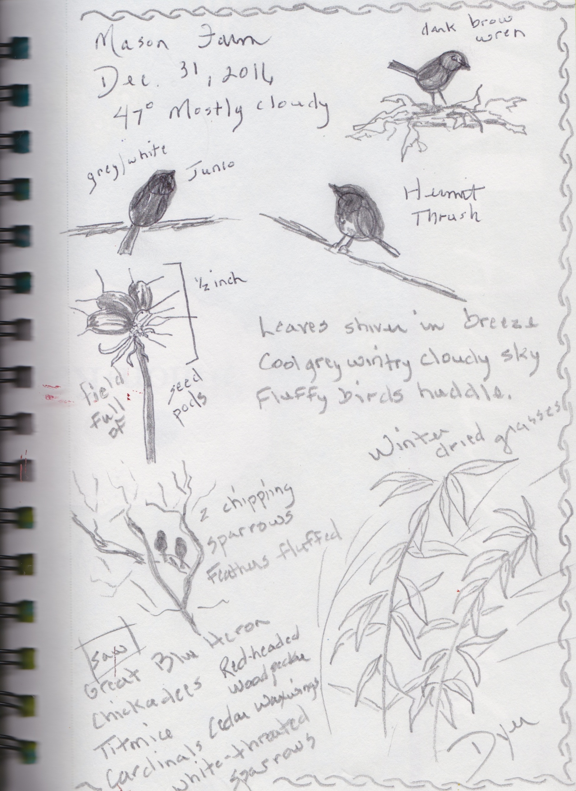 Sketch book 12:31:16.jpeg