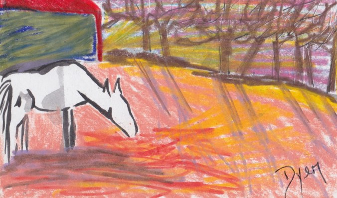 Index card horse am.jpeg