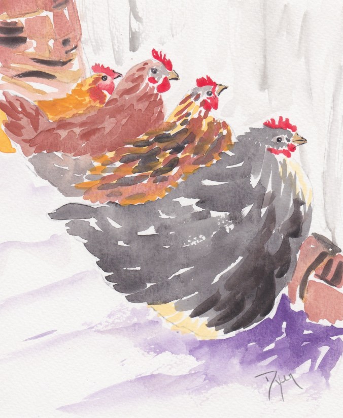 Southern Chickens.jpeg