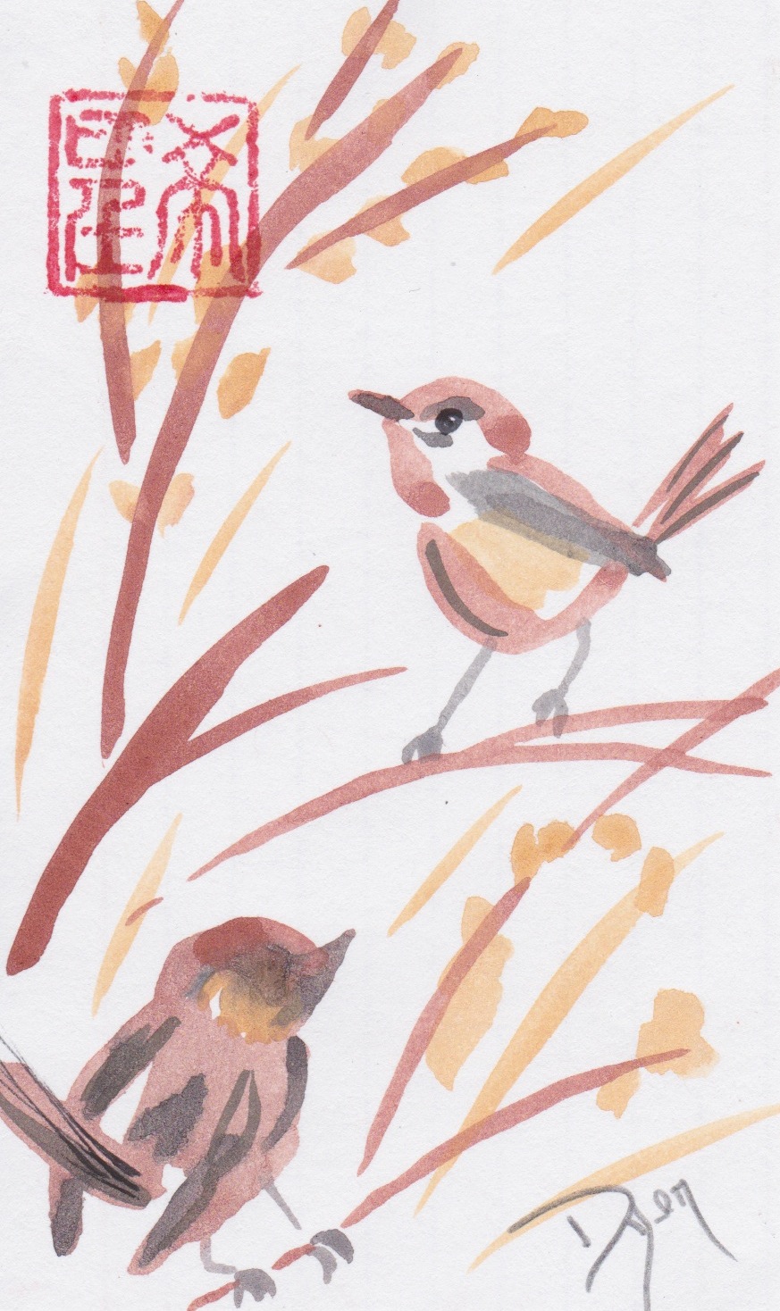 Index card lady banks wrens.jpeg