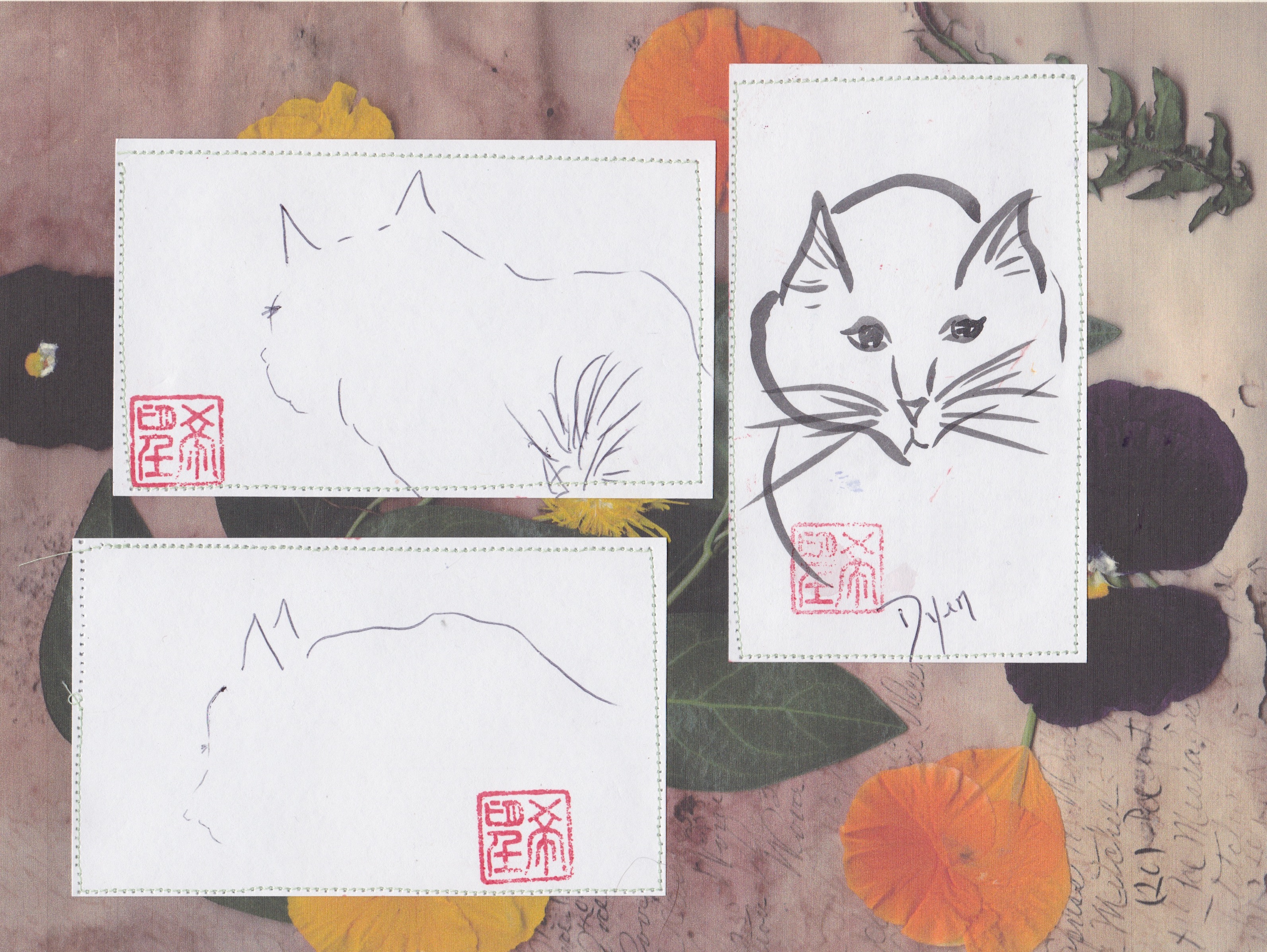 Art Rx journal cats.jpeg