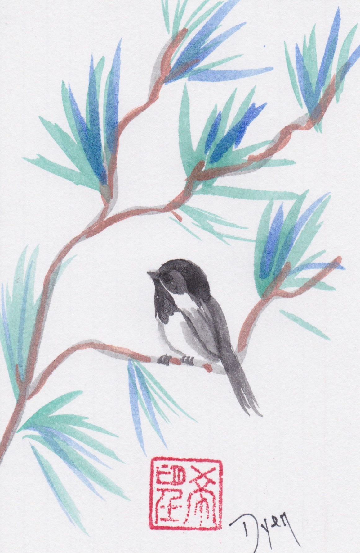 Birds chickadee.jpeg