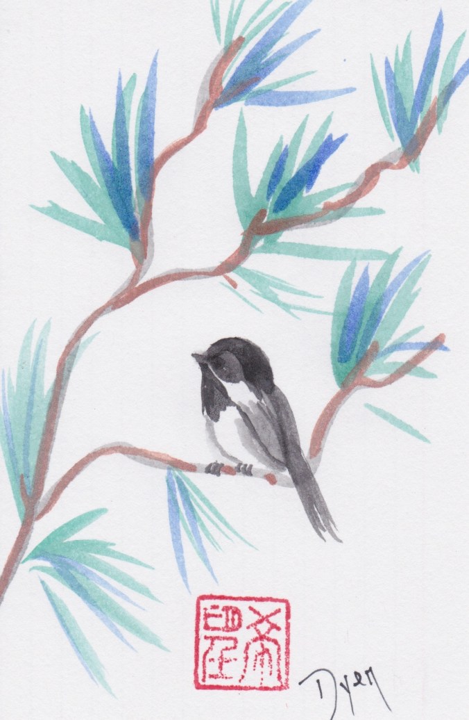Birds chickadee.jpeg