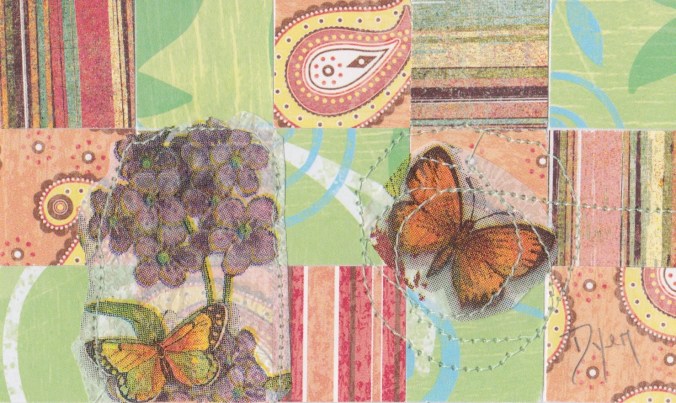 Index card butterfly 1.jpeg