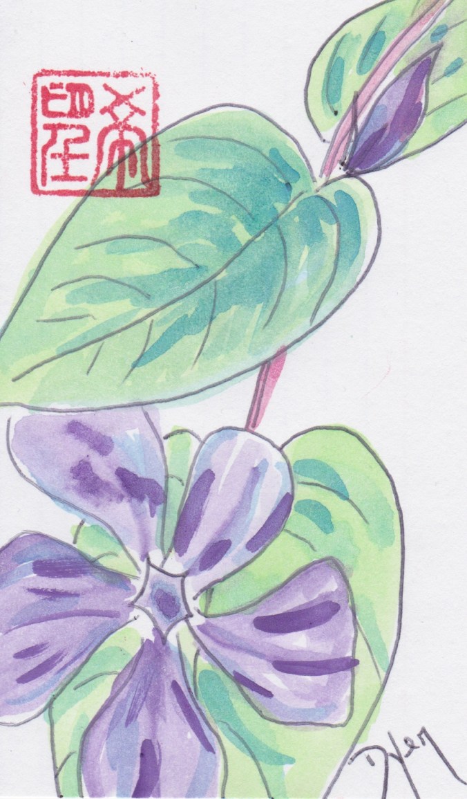 Index card vinca 1.jpeg