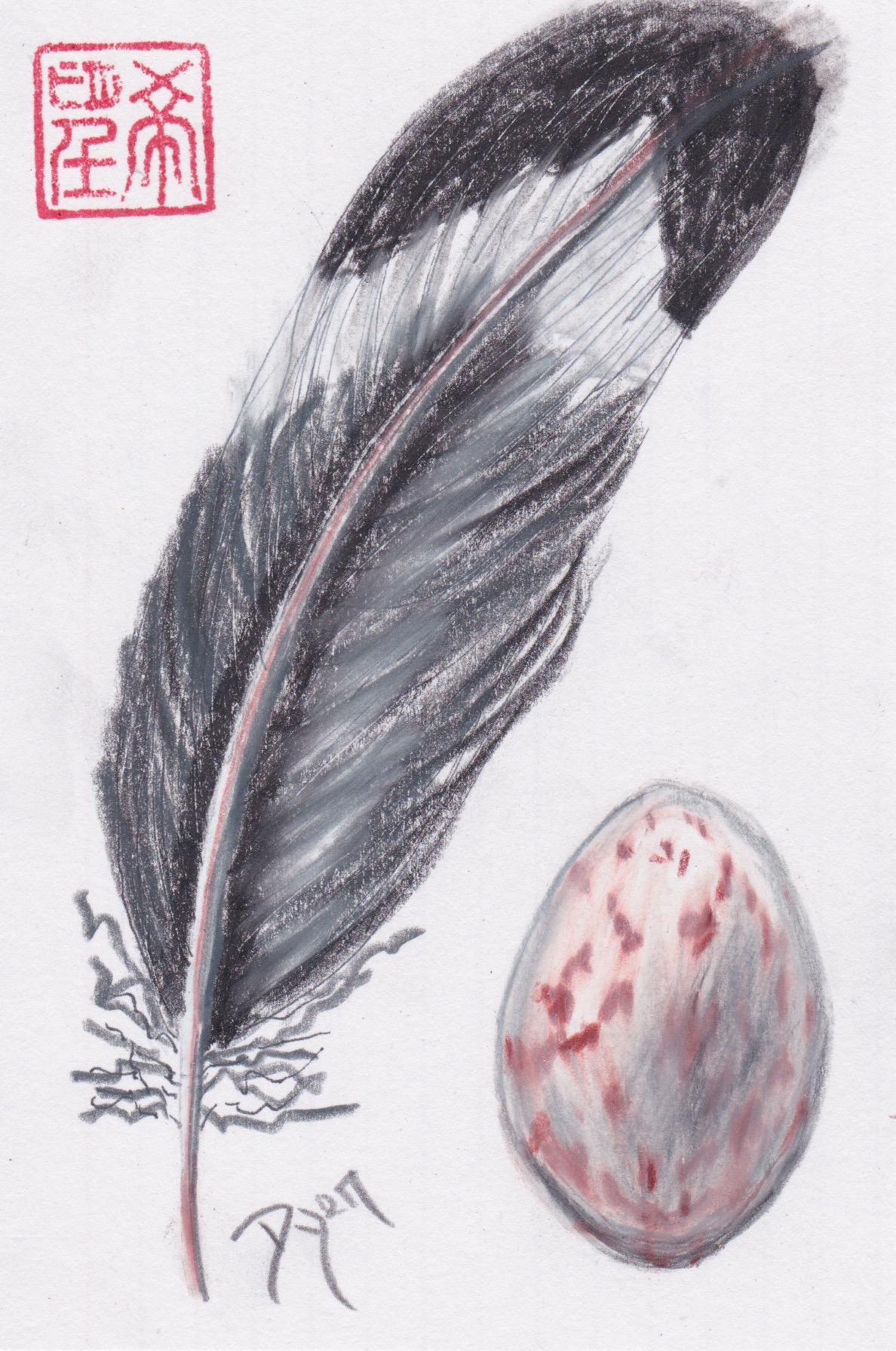 Index card chickadee egg.jpeg