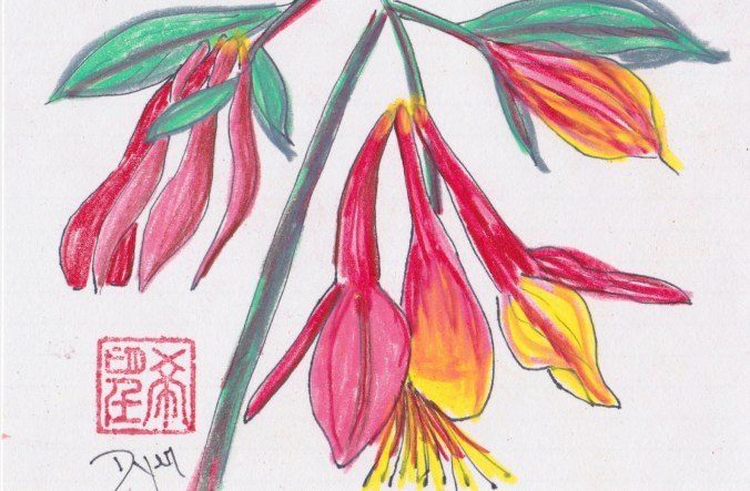 Index card columbine.jpeg