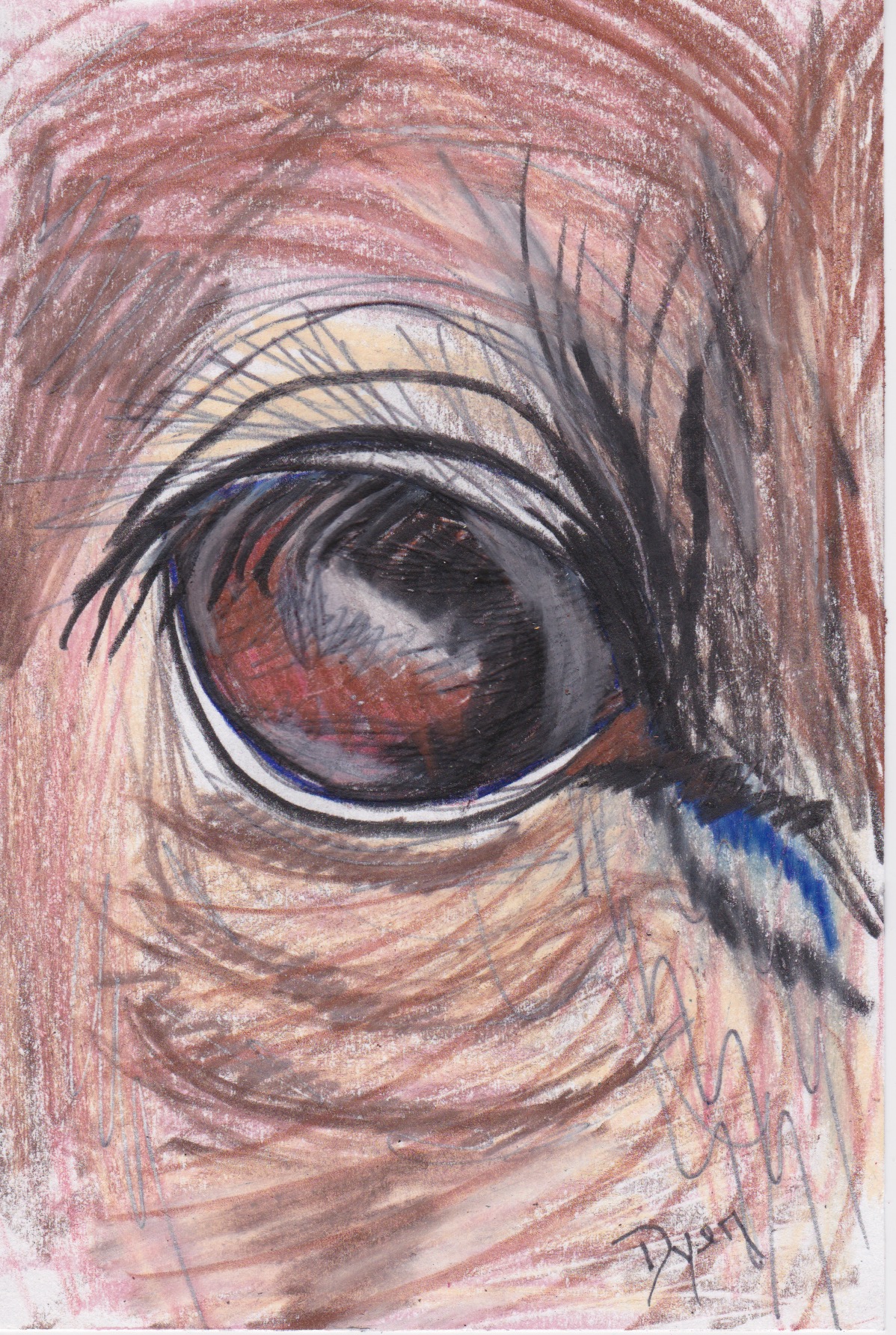 Index card eyes.jpeg