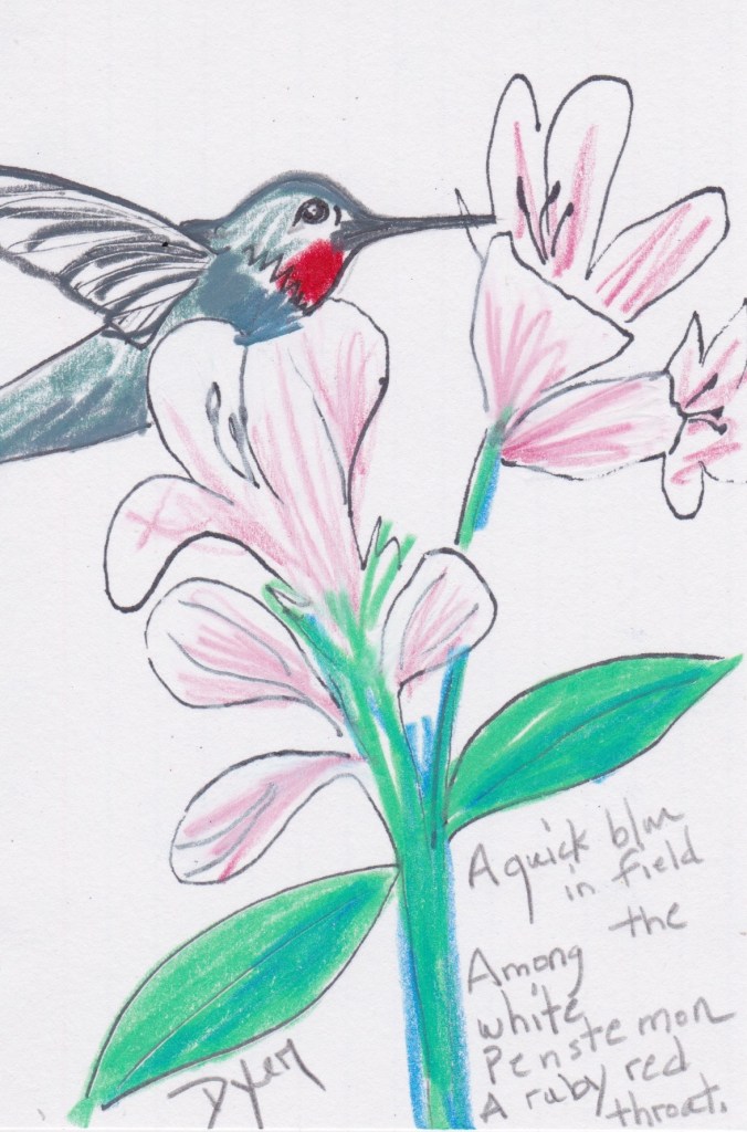 Index card hummer.jpeg